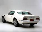 Pontiac Firebird Trans Am SD-455 1973 года